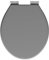 Go Bathrooms Toilet Seat Universal Light Grey Soft Close Easy to Clean Quick Installation Toilet Seat with Comfortable Durable Design Seat Matte Grey
