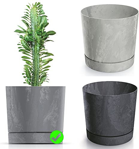 BirnePower Blumentopf Blumenkübel Übertopf Rund mit Untersetzer TUBO P Beton Effect Pflanzkübel Pflanztopf Matt (Grau, 400)