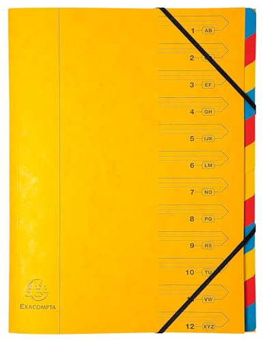 Exacompta - Ref. 54129E – Karton mit 8 Ordnern mit Klammerrücken – mit Gummibändern – bedruckter Deckel aus Glanzkarton und Innenseite aus recycelter Karte – 12 Fächer – Maße: 24,5 x 32 cm – für A4
