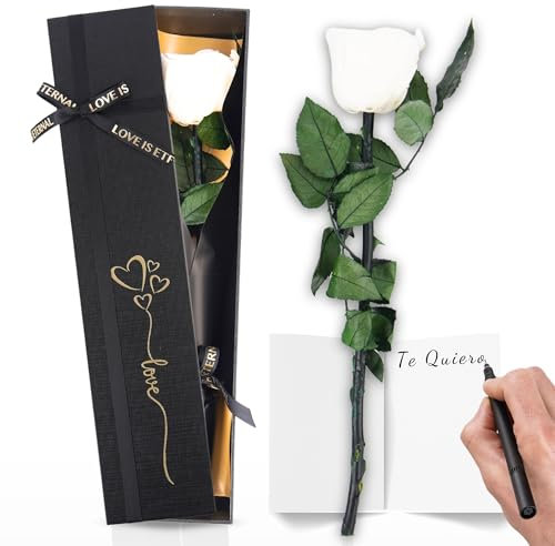 Trends by Twins® Rosa Eterna – Rosa Preservada Natural – Flores secas decoración - Flor Eterna Hecha a Mano – Regalos Originales para Mujer - Regalo Cumpleaños, Amiga o Madre