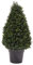 Home Pure Garden Kunstpflanze Zypresse Formschnittturm, 94 cm NA n/a