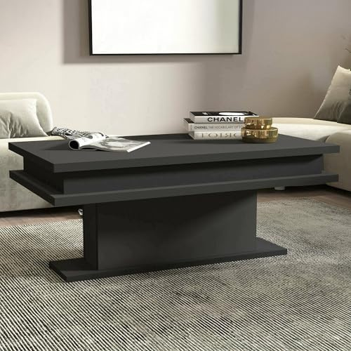 Dmora - Couchtisch Leon, Wohnzimmer-Couchtisch, niedriges Aufbewahrungselement, Couchtisch, 100x55x42 cm, Anthrazit