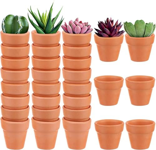 30 Stück Mini-Topf aus Terrakotta, 3,1 cm, Mini-Ton-Pflanzgefäß aus Ton mit Drainagelöchern, Sukkulentensamen, Kindergartenbehälter für Kinder, Erwachsene, Zuhause, Garten, Büro, Schreibtisch