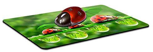 NEO+ Ensemble de Tapis de Souris Famille Coccinelle et Souris Coccinelle sans Fil