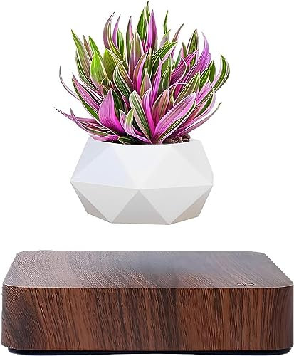 Maceta de bonsái de aire levitante, macetas de rotación para flores, maceta flotante con suspensión de levitación magnética, decoración de escritorio para el hogar en macetas y macetas de casa y