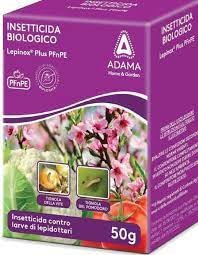 Insetticida Biologico Lepinox Plus Bacillus Thuringiensis gr. 50