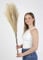 Sorola Pampas Grass Large Artificial 4 Stems - 40 inch/100cm Fluffy Soft Faux Dried Tall Fake Plant Bouquet Decorative Flowers Arrangements Boho Home Decor Accessories Wedding Decorations (Beige)