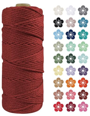 LEREATI Macrame Cord 2mm x 100m, Thick Macrame Rope Natural Cotton Rope Craft String, 3 Strand Twisted Cotton Cord Yarn for DIY Plant Hanger, Wall Hanging, Christmas Decoration (Coral red)