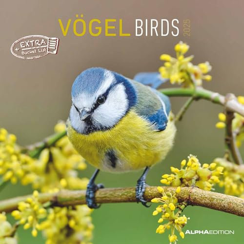 Alpha Edition - Vögel 2025 Broschürenkalender, 30x30cm, Wandkalender mit Platz für Notizen und Termine, beeindruckende Vögel-Motive, Monatsübersicht und Ferientermine DE/AT/CH