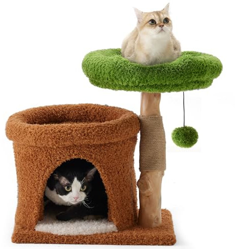 FUKUMARU Kratzbaum Katzen, 51 cm Katzenbaum mit einzigartigem Massivholz, Katzenhaus mit 2 gemütliche Liegefläche & Höhle, Jutesäule & Plüschball inkl,für kleine & große Katzen bis zu 4.5 kg