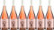 Wines by Gillot Rosé - Edition Hase 2023 Trocken Bio (6 x 0.75 l)