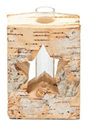 NaDeco Birkenstamm Vase mit Stern Motiv ca. 8x10cm Reagenzglashalter Holzvase mit Reagenzglas Reagenzglas Vase Holz Birkenholz Vase Naturvase Kleine Glasvase zur Tischdekoration