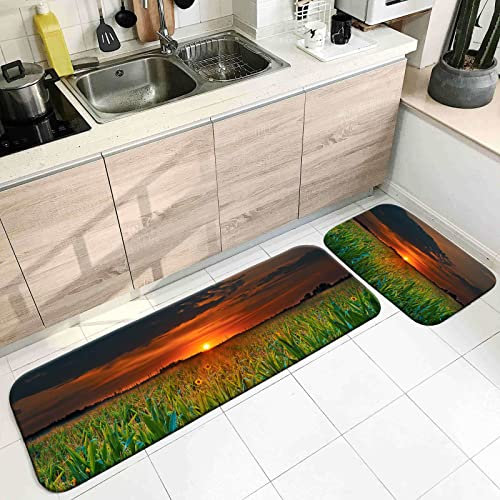 Alfombras para entrada de cocina, tapete de cocina, color verde, 60 x 90 cm, 60 x 180 cm, campo de trigo, decoración del hogar