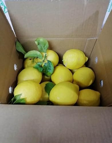 LIMONI NON TRATTATI e GARANTITI BUCCIA EDIBILE - 4,5 KG - CALIBRO MISTO - Giardino Digitale - Prodotti in Calabria - ITALIA