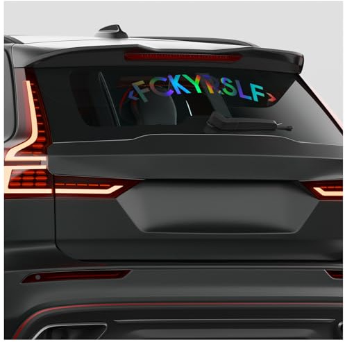 Finest Folia Frontscheibenaufkleber Fckyrslf Schriftzug für Auto Frontscheibe Aufkleber Heckscheibe Windschutzscheibe Sticker Tuning Fahrzeug Dekor FS145 (Hologramm, Innenklebend)