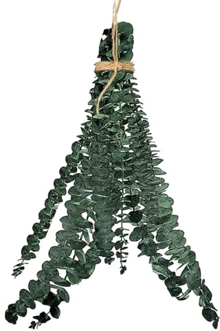 Genérico 10 Piezas Eucalipto Seco, Ramos De Eucalipto para Ducha, Tallos Y Ramas De Eucaliptos Natural, Arreglos Florales Secos para Casa Apartamento Salón Baño Decoración Floral