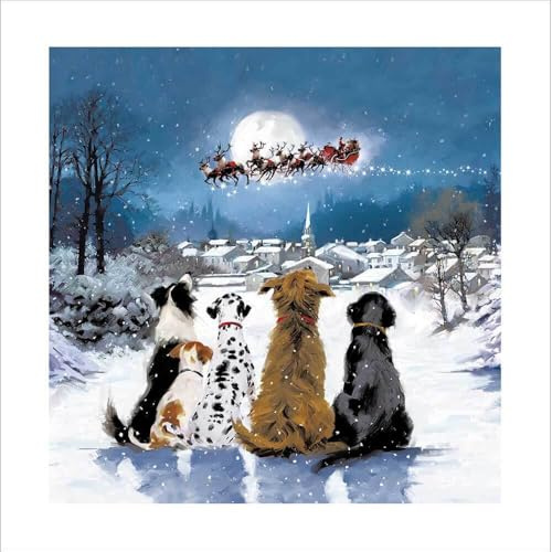 Fun Christmas Card Dogs Santa Paws is Coming Sleigh - Luxury Festive Xmas Card