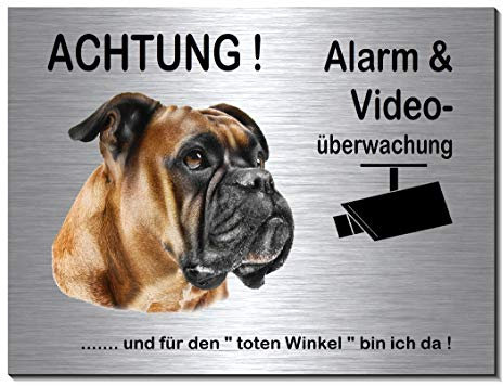 Boxer-Alarm-Video-Überwachung-Hund-20 x 15 cm-Schild-Hundeschild-Aluminium Edelstahloptik-Hunde-Tierschild-Warnschild-Hinweisschild (249-11 mit Löcher)