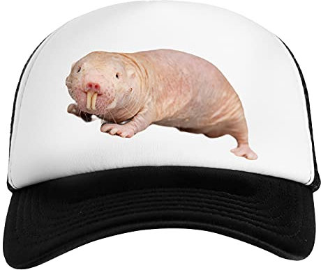 Nackt Ratte Maulwurf Weiß Schwarz Unisex Kinder Baseball Cap Kids White Black