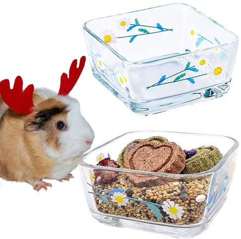 Acsist Lot de 2 gamelles en verre pour hamster, cochon d'Inde, gamelles anti-retournement pour petits animaux, chinchilla, furet, rat, hamsters syriens, souris, gerbille, hérisson (Marguerite blanche)