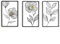 FJSPERM Schwarze Metall Blume Wanddeko 3er-Set Moderne Wandornament Heimdekoration, Abstrakte Metallbilder Wanddeko Dekorationen für Wohnzimmer Schlafzimmer Küche