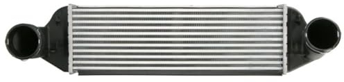 THERMOTEC DAB026TT Ladeluftkühler/LLK Turbokühler Kompatibel mit BMW X3 E83 17113449191 17113453727 17513428579