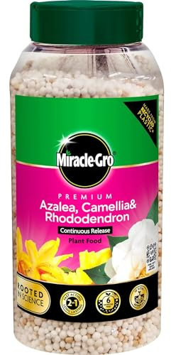 AMK® Azalea Camellia Rhododendron Plant Food 900g Continuous Release Feed Fertiliser Ericaceous Acid Loving Plants Iron