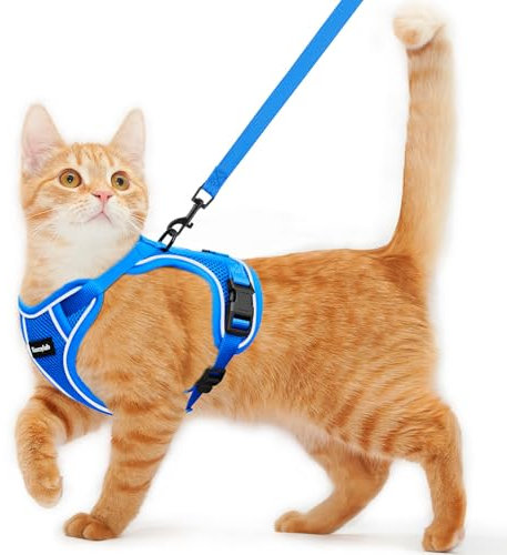 Katzengeschirr und Leine zum Spazierengehen, ausbruchsicher, weich, verstellbar, atmungsaktiv, bequem, einfach zu tragen, Kätzchengeschirr für Outdoor-Reisen, Blau, Größe S