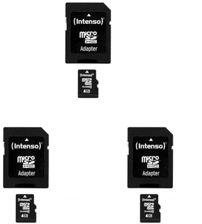 Intenso 3413450 Carte mémoire Micro SDHC 4 Go Classe 10 (Lot de 3)