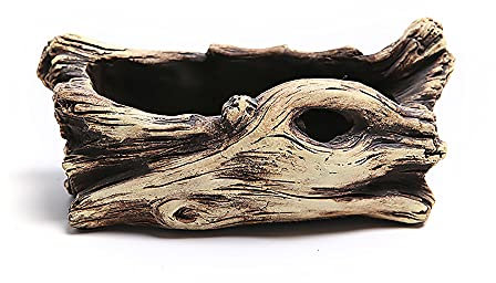 DIYOMR Zement-Treibholz-Pflanztöpfe, Kunststumpf, Beton, Blumen, Sukkulenten, Blumentopf/Behälter (19,6 cm L x 9,9 cm B x 8,4 cm H, untertönt)
