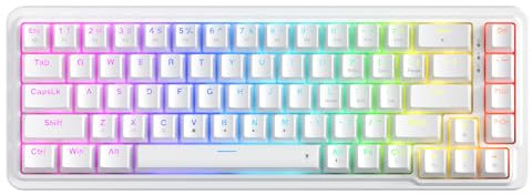Redragon K709 65% Wired Gasket RGB Gaming Keyboard, 68 Keys Hot-Swap Compact Mechanical Keyboard w/Free-Mod Socket, 3-Layer Noise Dampening & Dedicated Arrow Keys, Quiet Custom Linear Switch