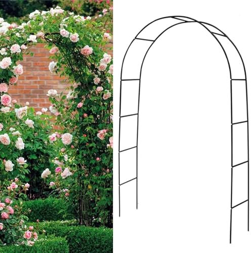 Arche de jardin en métal noir pour décoration de mariage, parfait pour les plantes grimpantes et les fêtes de mariage