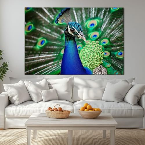 Wandbilder Leinwand 140 x 70 cm Groß Wanddeko Schlafzimmer Kunstdruck - Aesthetic Leinwandbilder Wohnzimmer Gemälde Foto Geschenk Living Room Decoration Tier Schöner Eleganter Pfau Bunte Federn