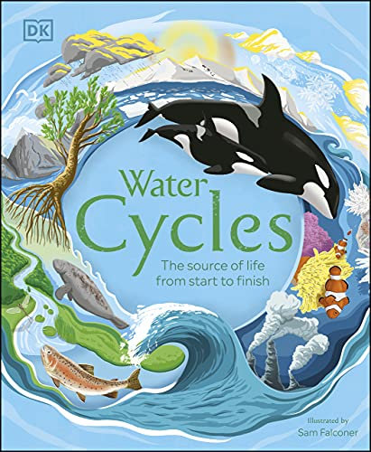 Water Cycles (DK Life Cycles) (English Edition)