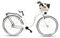 Goetze Style 28 Zoll Damen Citybike, 18 Zoll Tiefeinsteiger Rahmen, 3-Gang Nabenschaltung, Rücktrittbremse, LED-Beleuchtung, Gepäckträger, Komfortsattel, Schutzbleche, Rattankorb mit Stoffeinsatz!