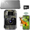 Wildlife Camera WiFi Bluetooth, 48MP 30fps Solar Infrared Trail Camera with Night Vision Motion Activated 0.2s Trigger Trail Cam with 32GB SD Card, 2000mAh Battery Rechargeable for Wildlife Scouting