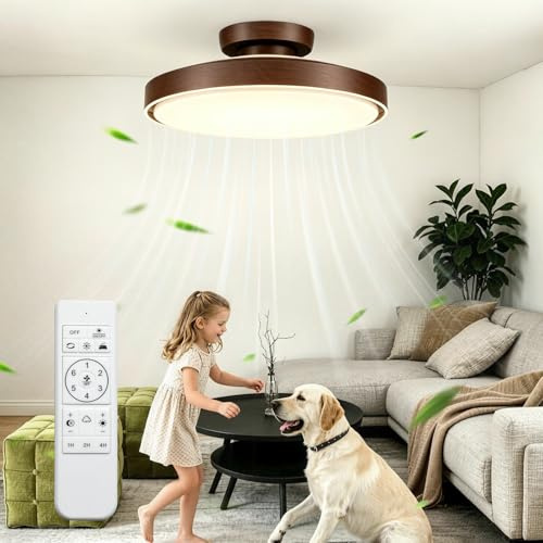 Maxled, Light is Led! Silencioso Sin Aspas Ventilador de Techo 56W Motor DC 24W 3000K-6500K Regulable Temporizador Lámpara Ventilador de Techo y Mando a Distancia 6 Velocidades Temporizador Memoria
