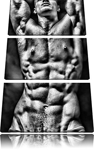 Pixxprint Sixpack Body, Leinwandbild 3 Teilig, Gesamtmaß: 120x80cm, Wandbild, Dekoration, fertig gespannt, Kein Poster