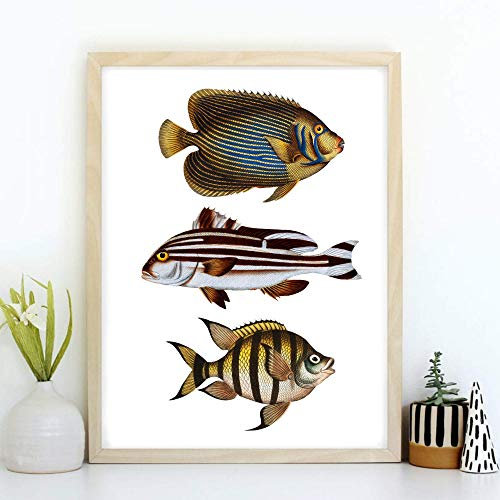 Din A4 Kunstdruck ungerahmt - Fische Fisch Trio Retro Vintage Zeichnung Maritim Meer Badezimmer Druck Poster Bild