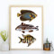 Din A4 Kunstdruck ungerahmt - Fische Fisch Trio Retro Vintage Zeichnung Maritim Meer Badezimmer Druck Poster Bild