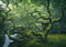 Displate - Poster aus Metall - Magnet-Montage - World Class Photos - Landscapes - Japanese Tree 45 cm x 32 cm
