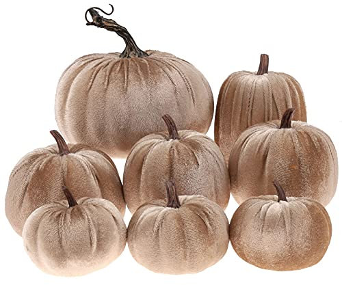 Gresorth 8 Stück Sortiert Gefälscht Handgefertigt Champagner Samt Kürbisse Künstlich Herbsternte Halloween Dekoration Heim Bauernhaus