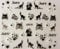 Halloween Nail Art 3D Silver Gems Stickers (JH079 Cats Ghosts Stars)