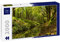 Lais Puzzle Schöne grüne Bäume, die Sich in einem kleinen Fluss spiegeln, der durch den Wald fließt. Frühlingslandschaft in Russeltown Wood, Grafschaft Wicklow, Irland 2000 Teile