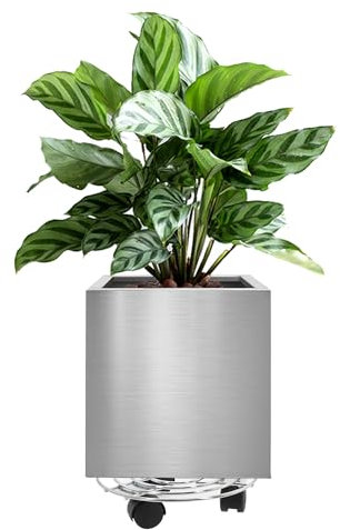 LONGRUNNEW Jardinière carrée en acier inoxydable de 25 cm avec roulettes, surface laquée anti-traces de doigts, facile à nettoyer, pour intérieur, extérieur, espace d'affaires, lieux publics