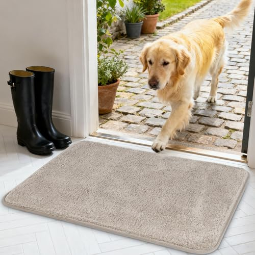 AUAUY Door Mats Indoor, Super Absorbent and Non-Slip, 60 x 90cm(Light Gray) | Indoor Door Mat, Dirt Trapper Doormat, Machine Washable Doormats Rug for Entrance, Inside, Kitchen