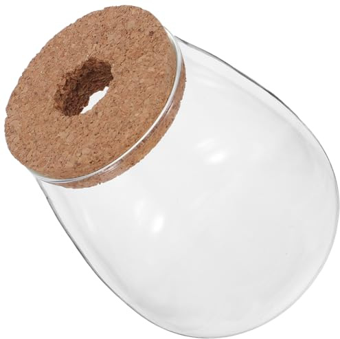 HEMOTON Lot de 2 Bocaux en Verre Hydroponiques pour Propagation de Plantes, Grand Format avec Bouchon en Liège Perforé, Contenant pour Culture Racinaire, Décoration Bureau, Maison