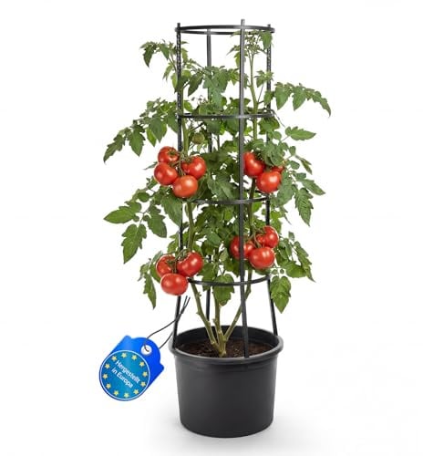 BigDean Tomatentopf + Rankhilfe XL Wasserspeicher und Selbstbewässerung | Pflanzkübel für Balkon und Terrasse, Rankgitter für Tomaten und Kletterpflanzen