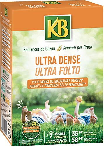 Semences de gazon ULTRA DENSE 35m²