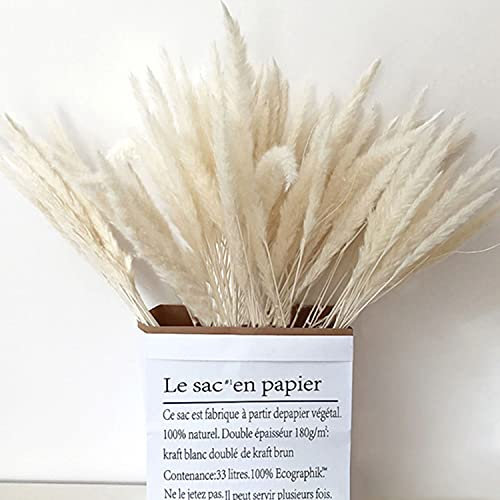 30x Getrocknetes Pampasgras Weiß extra fluffig echte Trockenblumen in umweltfreundlicher Geschenkverpackung, Länge:57-58cm